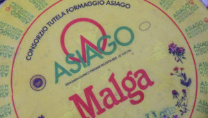Made in Malga
