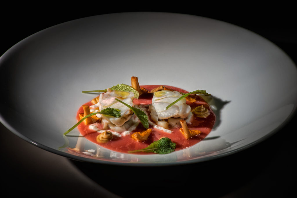 rana pescatrice